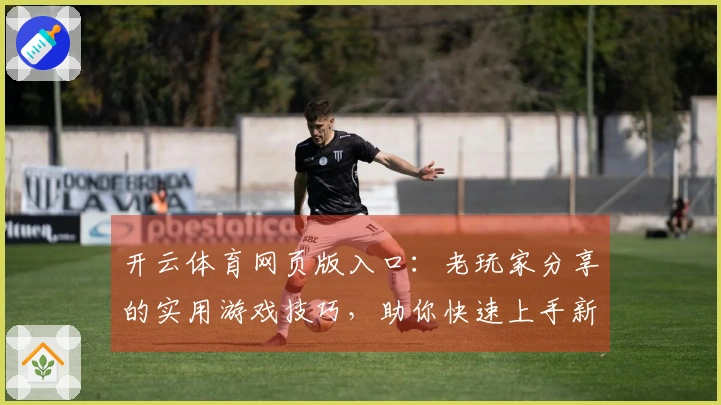 开云体育网页版入口：老玩家分享的实用游戏技巧，助你快速上手新玩法